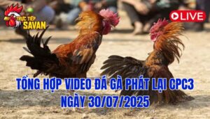 Phát Lại Đá Gà CPC3 Trực Tiếp Ngày 30/07/2025
